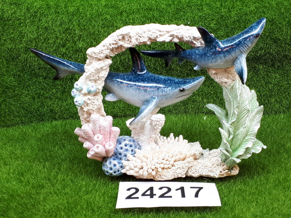 שני כרישים חוצים קשת אלמוגים